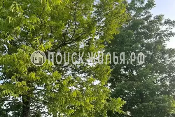 Частный сектор «Уютный домик»