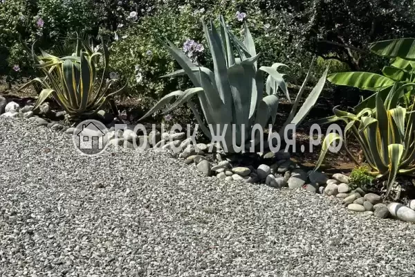 Дом под ключ «Цитрусовый Рай» Дом под ключ «Цитрусовый Рай»