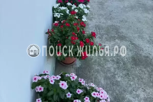 Дом под ключ «Цитрусовый Рай» Дом под ключ «Цитрусовый Рай»