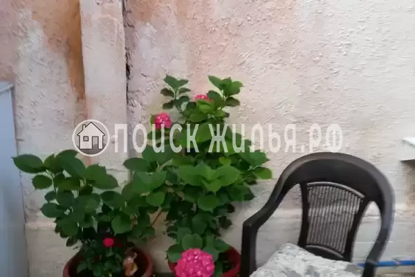 Квартира «Студия со своим двориком» Квартира «Студия со своим двориком»