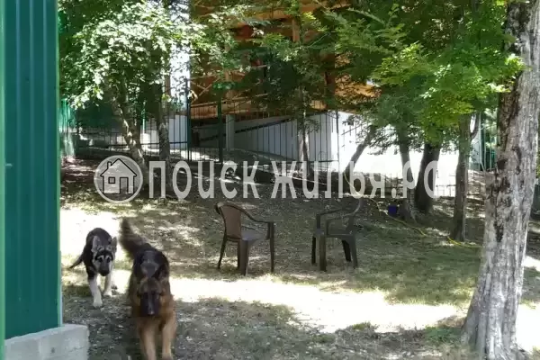 Частный сектор «Бревенчатый дом в лесу у моря»