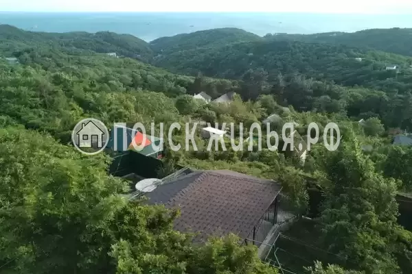 Частный сектор «Бревенчатый дом в лесу у моря»