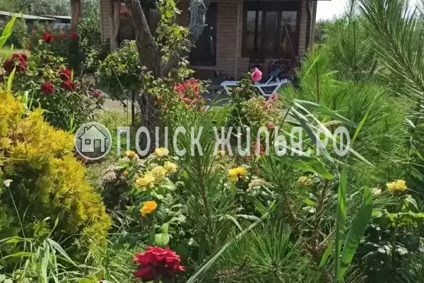 Частный сектор «Дом для семейного отдыха без шумных соседей»