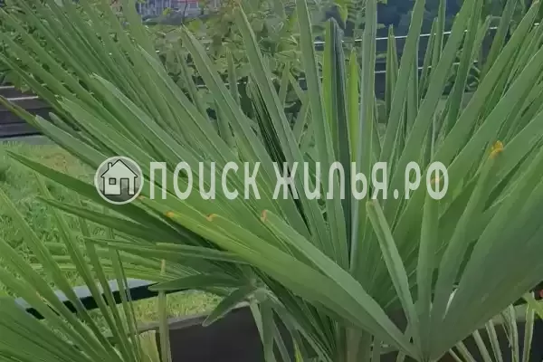 Дом под ключ «Дом с бассейном под ключ» Дом под ключ «Дом с бассейном под ключ»