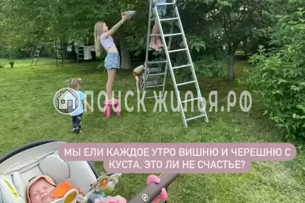 Частный сектор «Дача у моря с выходом на дикий пляж»