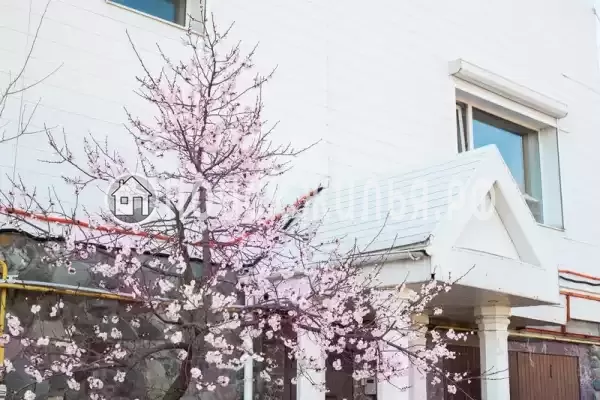 Частный сектор «Цветок Жизни» Частный сектор «Цветок Жизни»