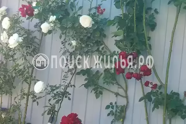 Апартаменты «На земле»