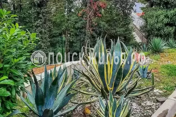 Апартаменты «Сосновый берег»