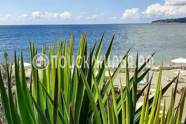 Апартаменты «Сосновый берег»