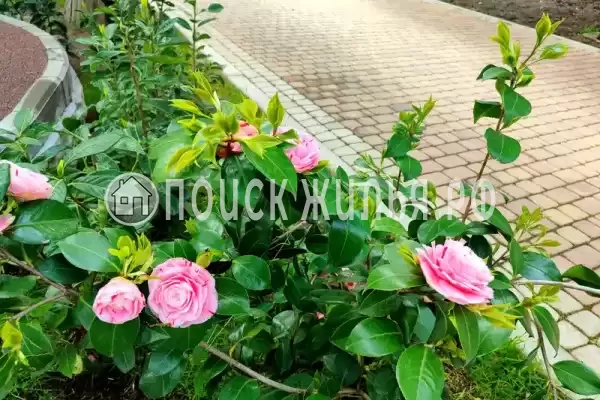 Частный сектор «В ЖК Покровский парк»