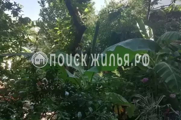 Частный сектор «Дом с садом» Частный сектор «Дом с садом»