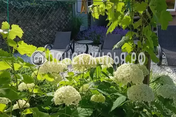 Частный сектор «Коттедж Платинум» Частный сектор «Коттедж Платинум»