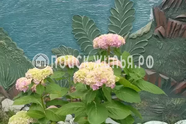 Частный сектор «На Фруктовой»