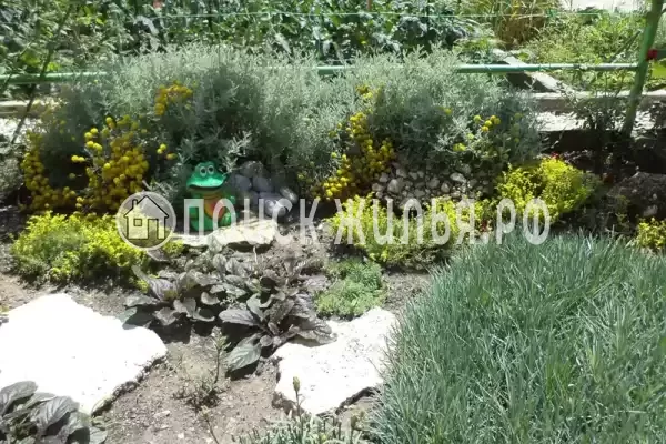 Частный сектор «Уютный 2-х комнатный дом у моря и набережной» Частный сектор «Уютный 2-х комнатный дом у моря и набережной»