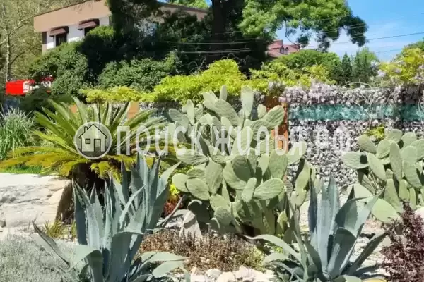 Квартира «Каравелла Португалии» Квартира «Каравелла Португалии»