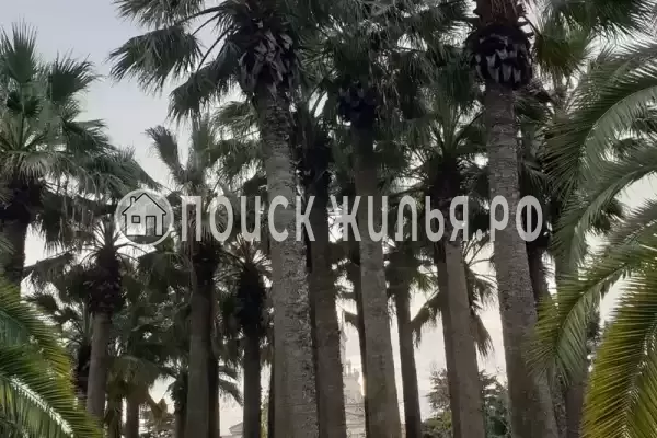 Квартира «Остров Мечты» Квартира «Остров Мечты»