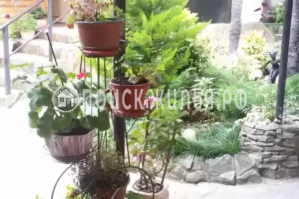 Частный сектор «Надежда» Частный сектор «Надежда»