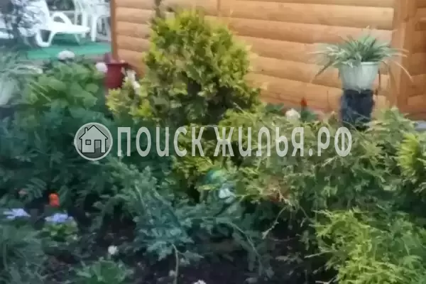 Частный сектор «Надежда» Частный сектор «Надежда»