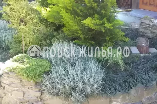 Частный сектор «Надежда» Частный сектор «Надежда»