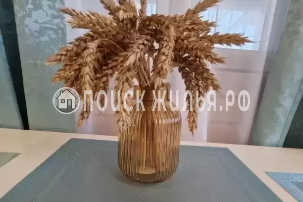 Частный сектор «Уютный домик на Азовском побережье» Частный сектор «Уютный домик на Азовском побережье»