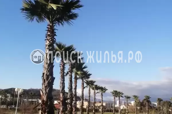 Апартаменты «В Сириусе»