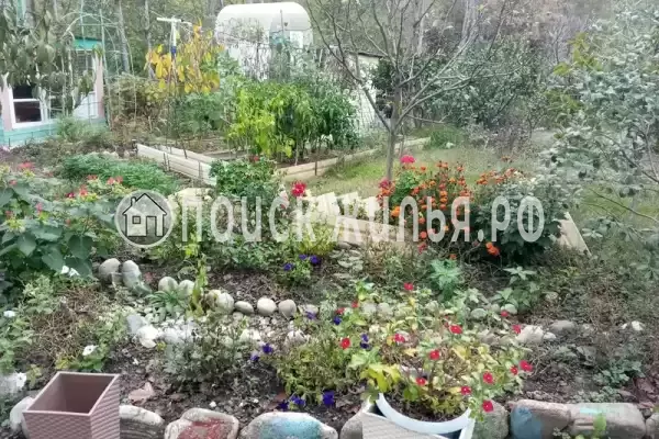 Частный сектор «У Лилии»