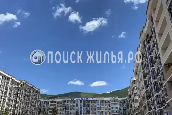 Квартира «ЖК Альбатрос»