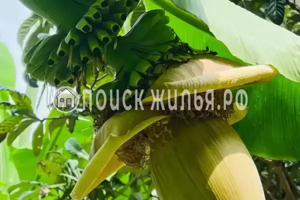 Дом под ключ «Коттедж под ключ» Дом под ключ «Коттедж под ключ»