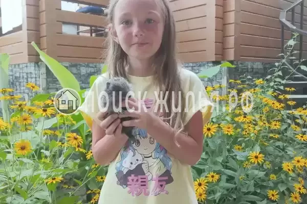 Дом под ключ «Коттедж под ключ» Дом под ключ «Коттедж под ключ»