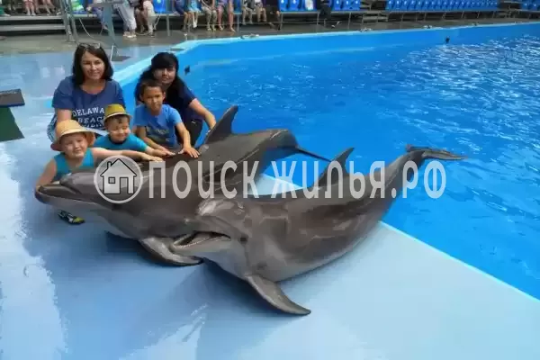 Дом под ключ «На Таманской 20» Дом под ключ «На Таманской 20»