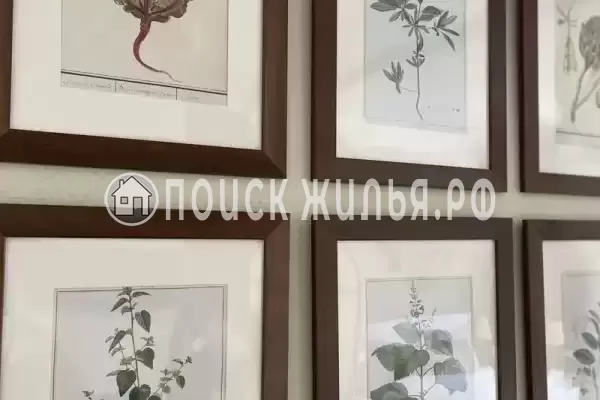 Апартаменты «Ботаника Дивноморское»