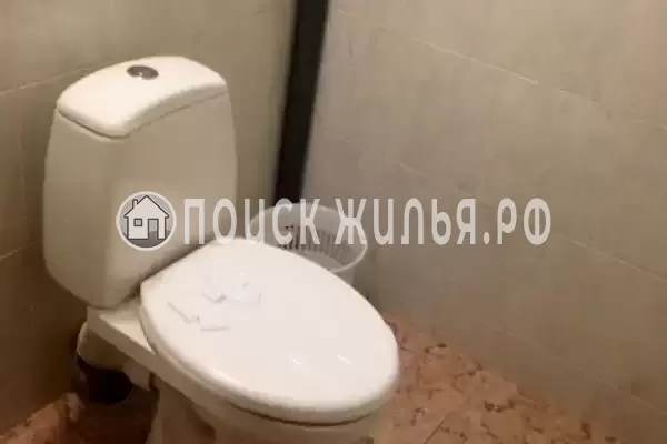 «Алексина»