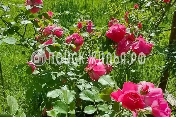 Дом под ключ «С бассейном»