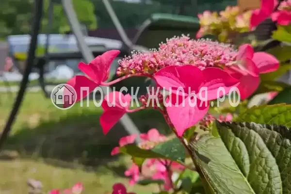 Дом под ключ «С бассейном»