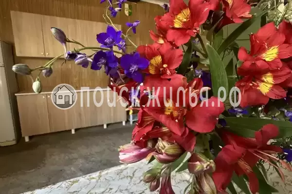 Гостевой дом «Нелли»