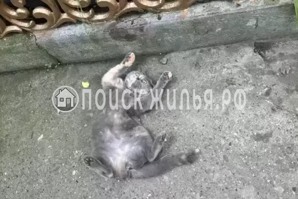 Частный сектор «Елена» Частный сектор «Елена»