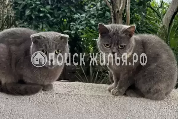 Частный сектор «Елена» Частный сектор «Елена»