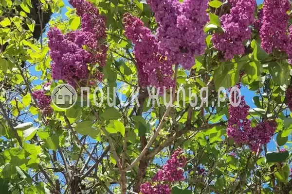 Частный сектор «Елена» Частный сектор «Елена»