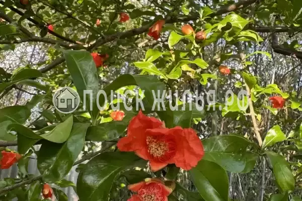 Частный сектор «Елена» Частный сектор «Елена»