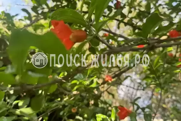 Частный сектор «Елена» Частный сектор «Елена»