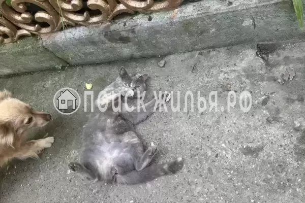 Частный сектор «Елена» Частный сектор «Елена»