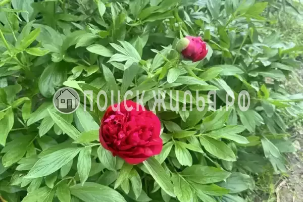 Частный сектор «Елена» Частный сектор «Елена»