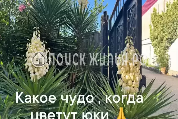 Частный сектор «Елена» Частный сектор «Елена»