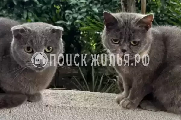 Частный сектор «Елена» Частный сектор «Елена»