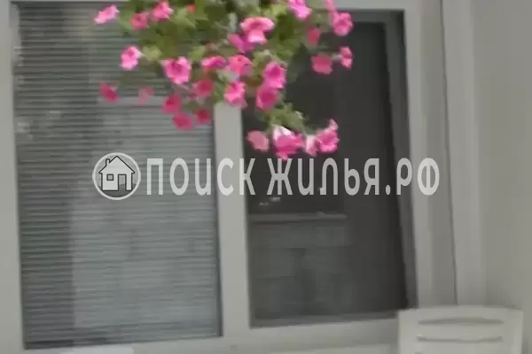 Квартира «2-х комнатная» Квартира «2-х комнатная»