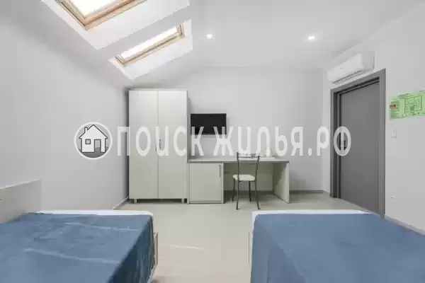 «Авис» «Авис»