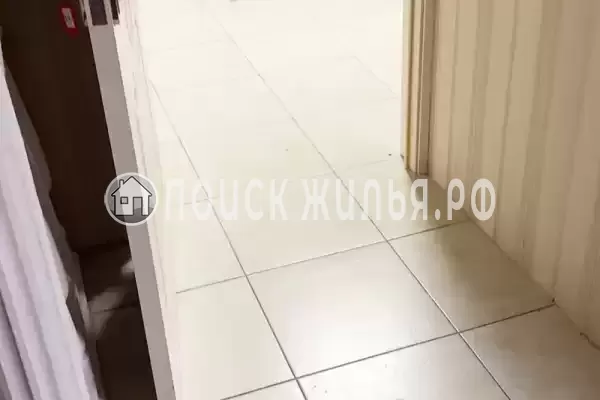 «Камелия 2»