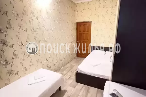 «Камелия 2»