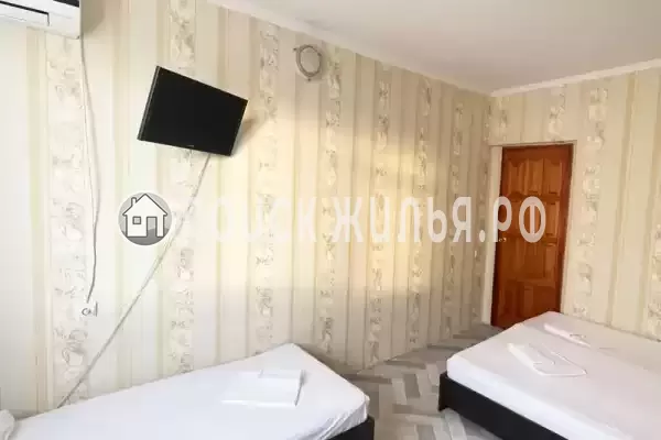 «Камелия 2»