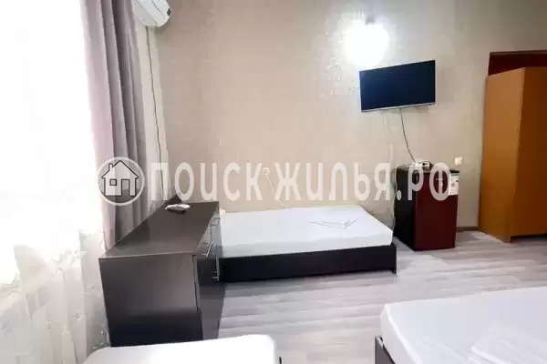 «Камелия 2»